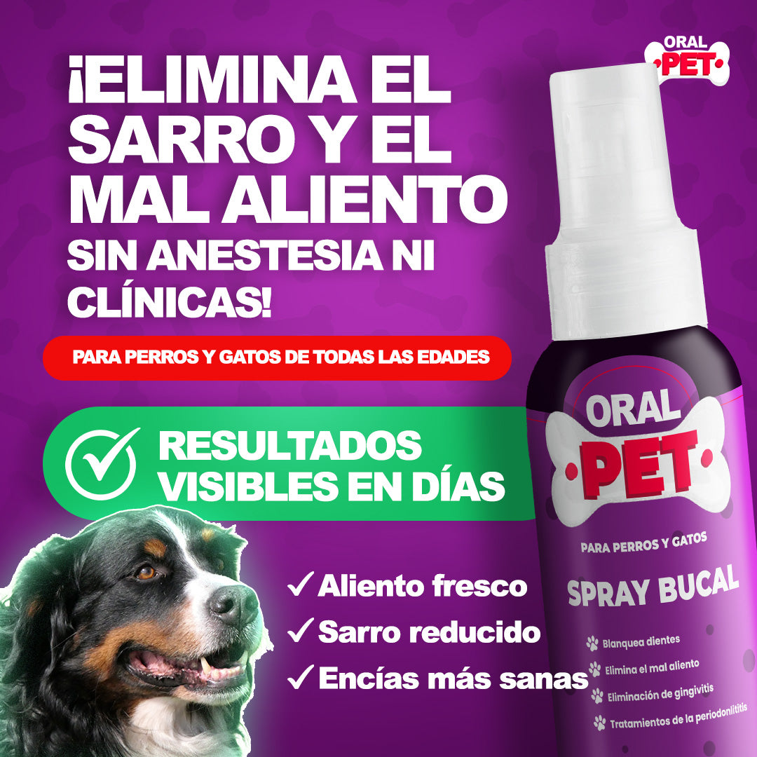 OralPet | Elimina el Sarro y Protege su Salud