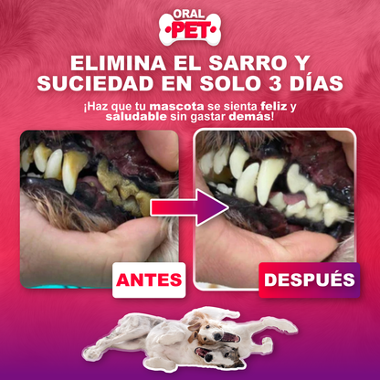 OralPet | Elimina el Sarro y Protege su Salud